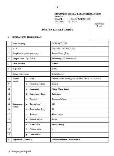 Curriculum vitae template picture