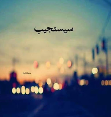 صور منوعه
