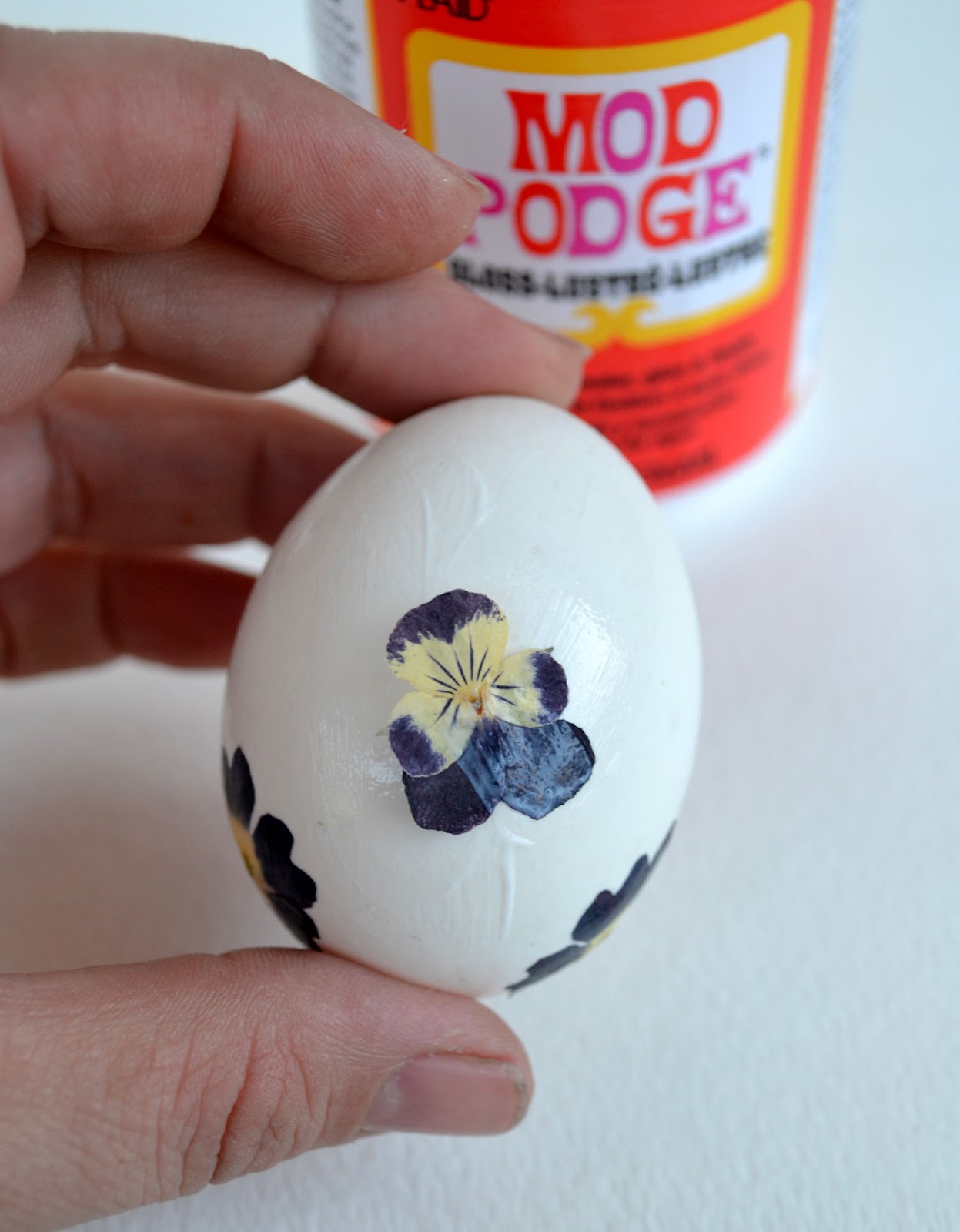 DIY Pressed Flower Easter Egg Tutorial