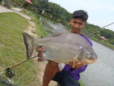 Fishing XPDC Kolam Pancing Seksyen 24 Shah Alam