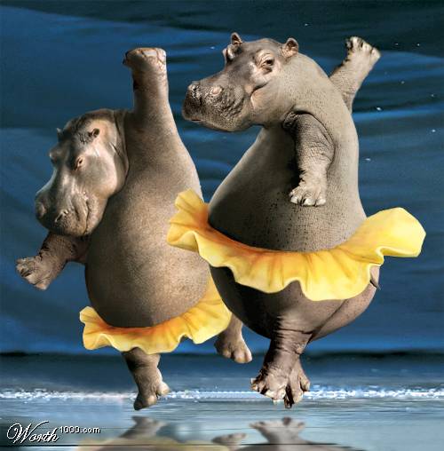 Funny Dance Pictures 41