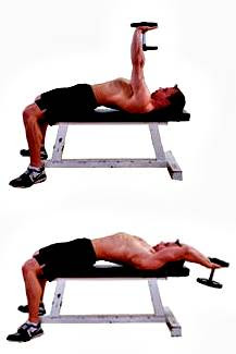 Weight training workout routine for ectomorph or thin men Weight training workout routine for ectomorph or thin men