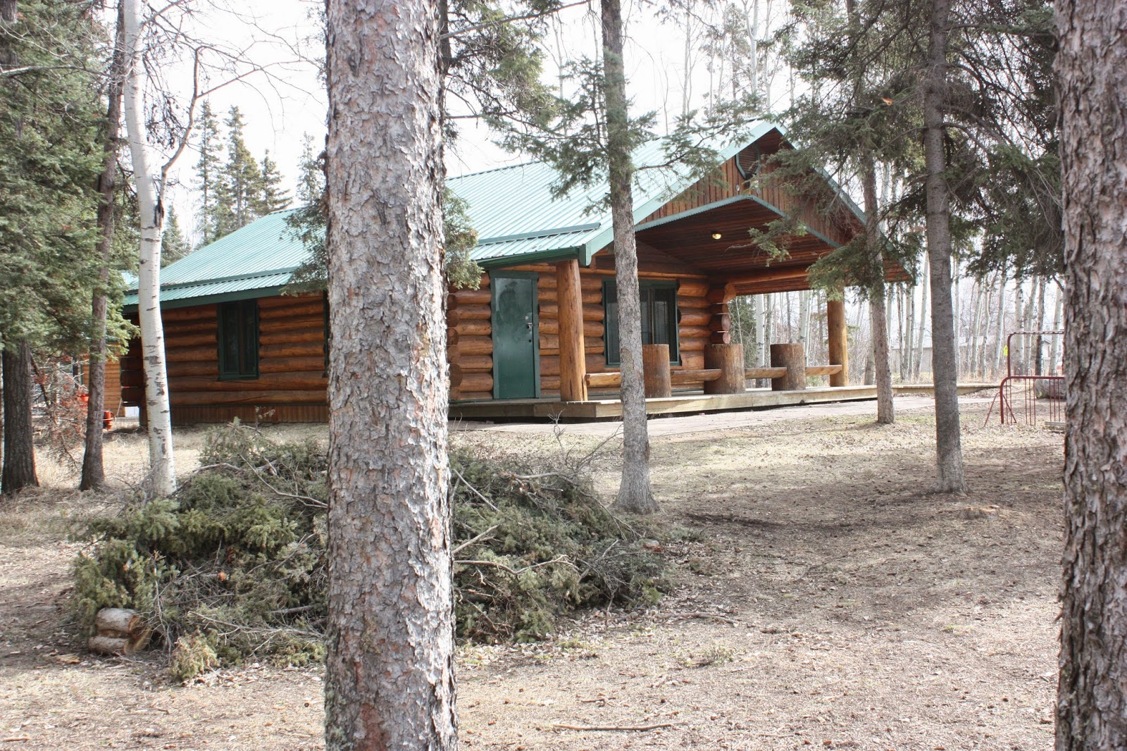 Team Toby a dog with a blog on a kindness mission! Pet Friendly