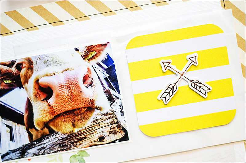 Stephanie Berger - Scrapbooking - Jumpstart - Scrapbooktreff Stephanie Berger - Scrapbooking - Jumpstart - Scrapbooktreff