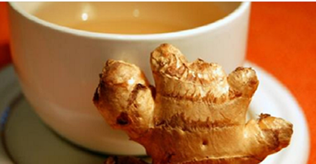 Cómo preparar correctamente el té de JENGIBRE para perder peso en poco tiempo Cómo preparar correctamente el té de JENGIBRE para perder peso en poco tiempo