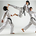 Things to consider when looking formartial arts schools Scarborough