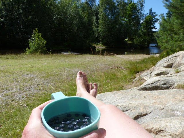 Vildmarkscamping Hätteboda Schweden Smaland Reise Urlaub Camping mit Hund Blaubeeren Vildmarkscamping Hätteboda Schweden Smaland Reise Urlaub Camping mit Hund Blaubeeren