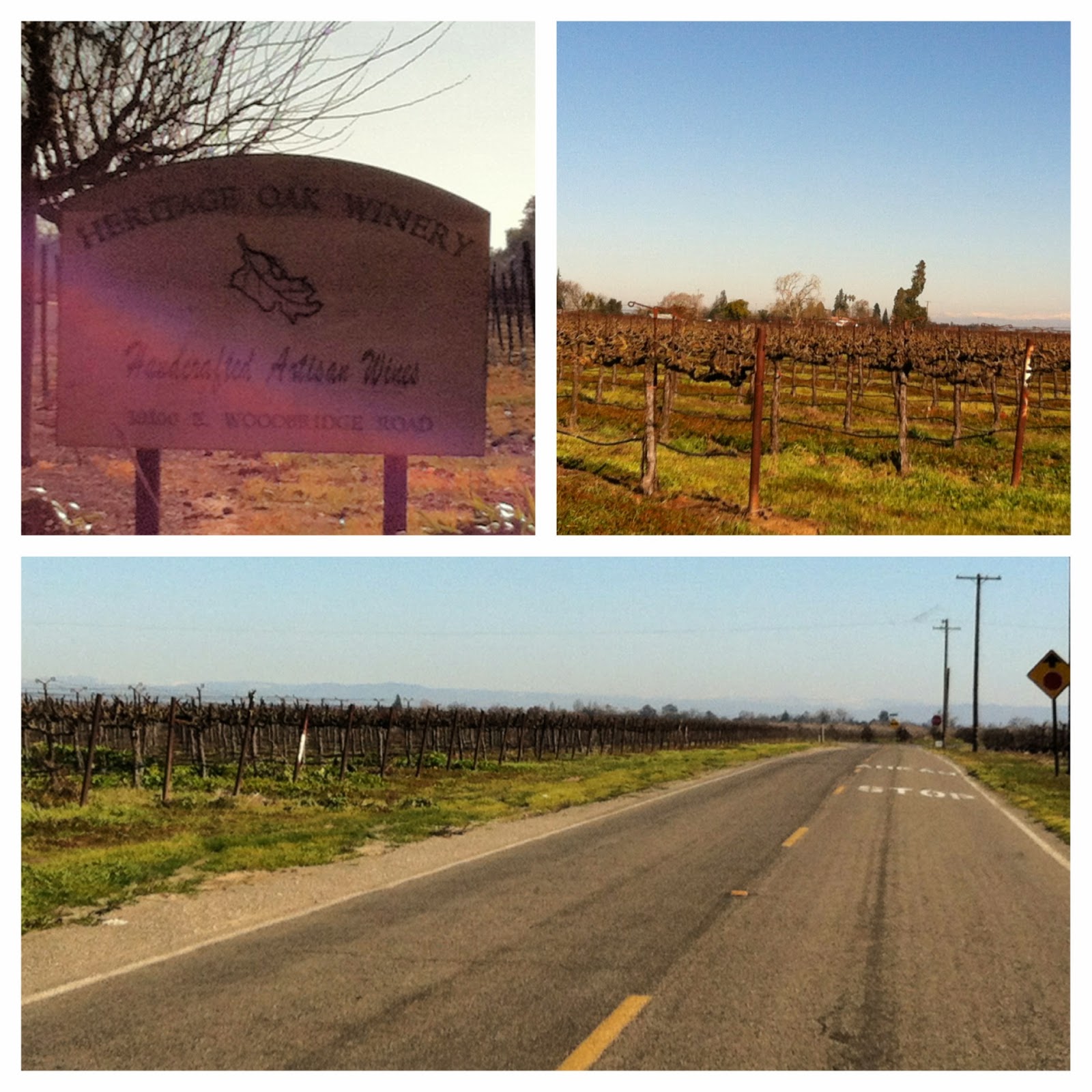Do Cartwheels with Me Heritage Oak Winery in Lodi, California