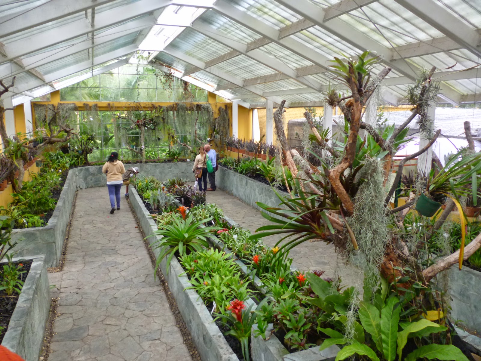 fundacionideagenial EL JARDIN BOTÁNICO DE BOGOTÁ ES UN PARAÍSO