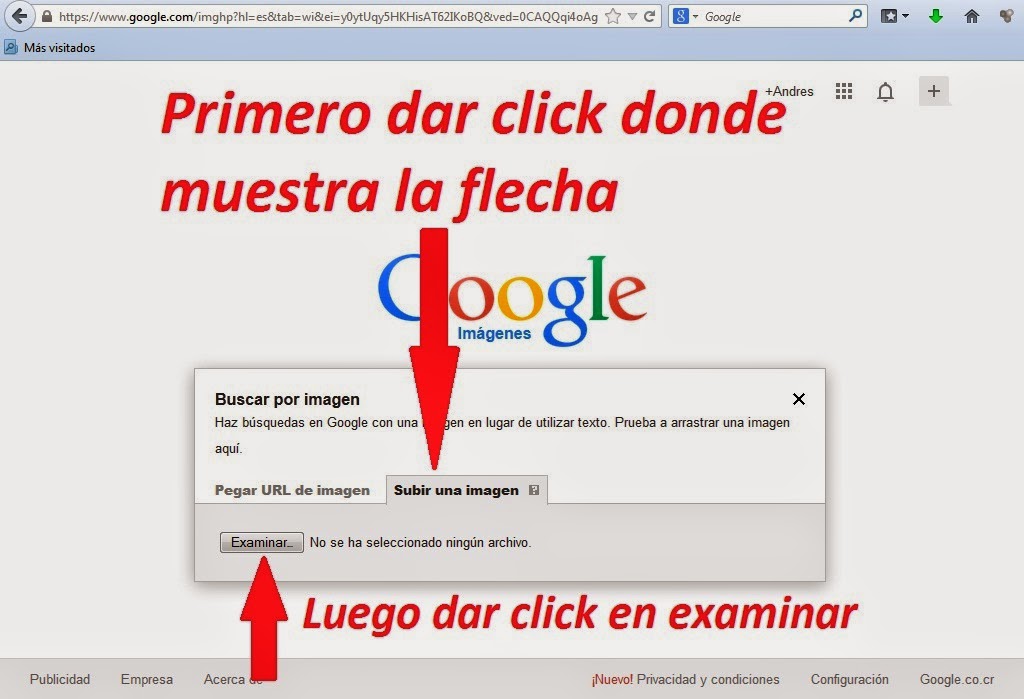 Tutoriales básicos y avanzados de