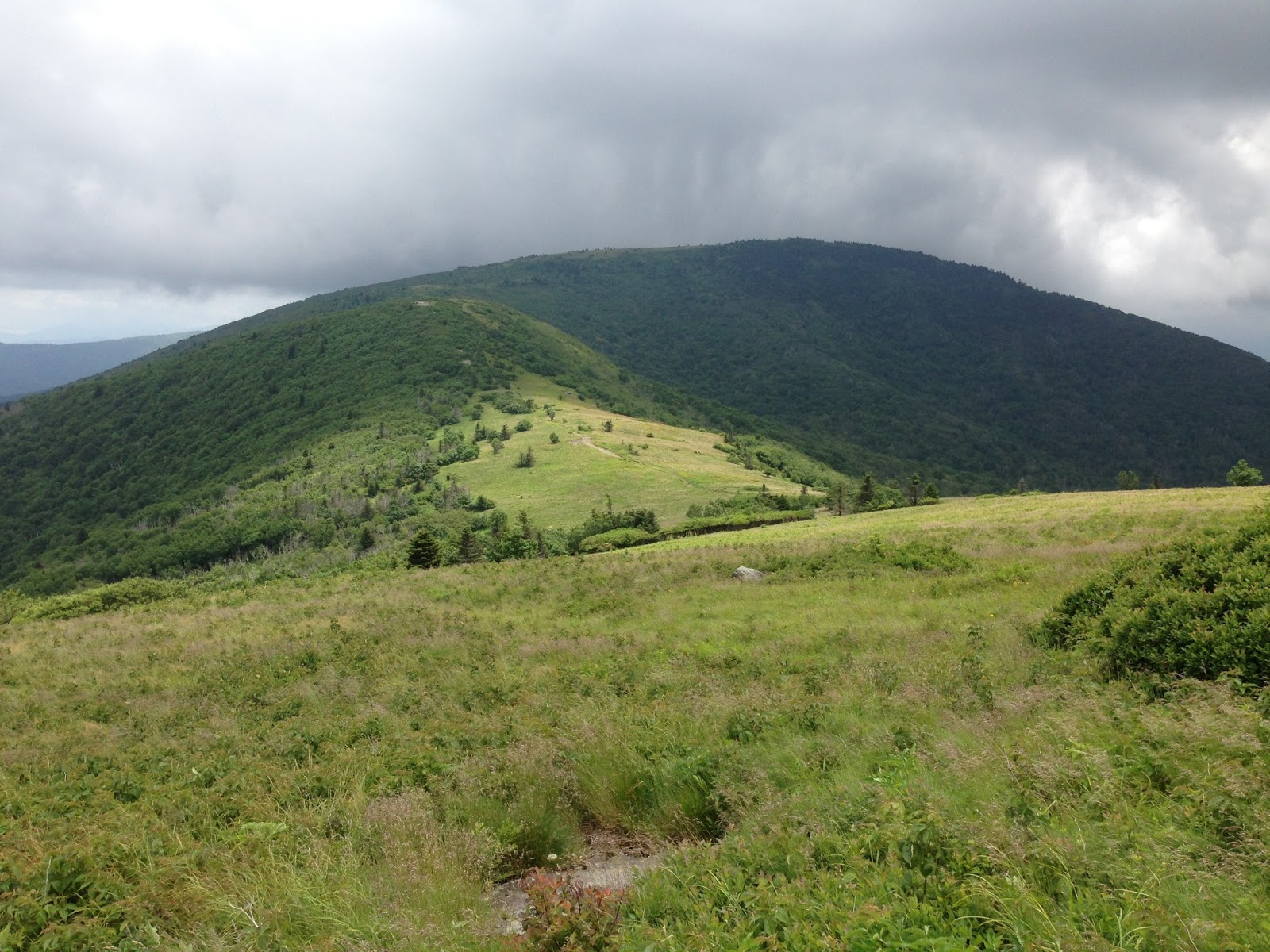 Hiking the Appalachian Balds: Round, Jane, and Grassy Ridge