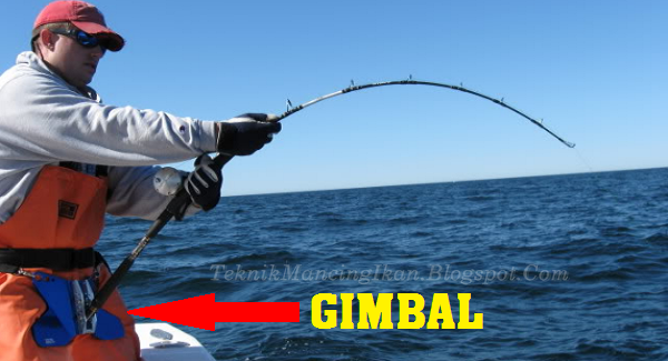Gimbal Untuk Mancing Popping Gimbal Untuk Mancing Popping