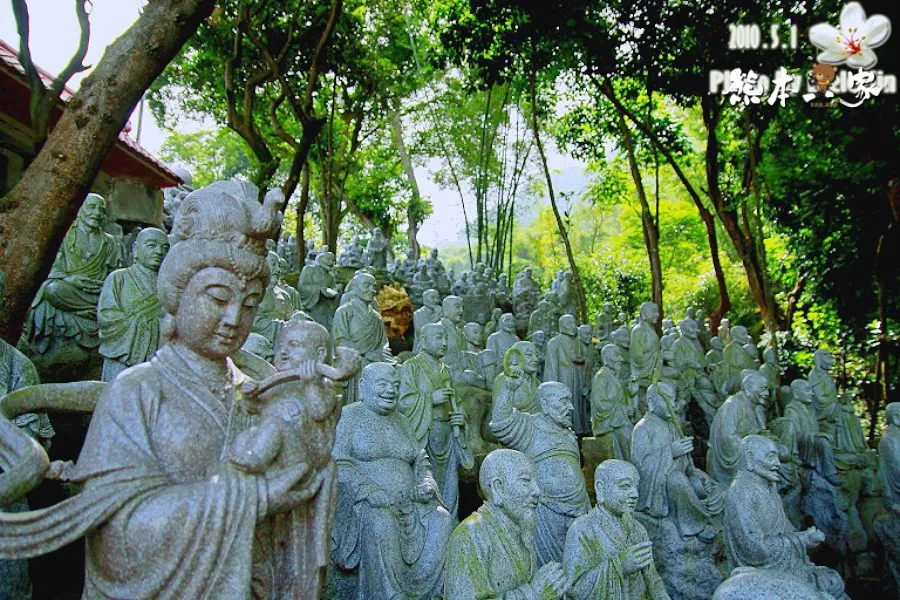 如來寺五月雪|三峽油桐花私房景點~還有壯觀千尊石雕神像群