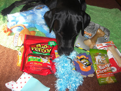 Picture of Rudy with all of his amazing goodies (from blogging friends AND family)