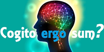 cogito ergo sum?