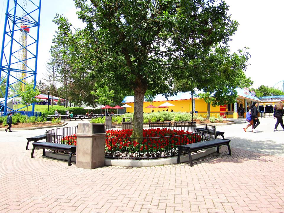 A stunning Canadian inspired flowerbed nearby Coasters Diner in Action Zone.