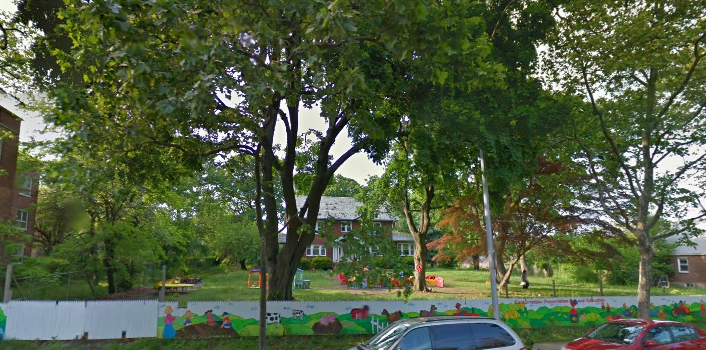 Queens Crap Klein Farm stripped of trees