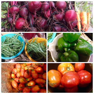 Some of the crops we harvested yesterday!