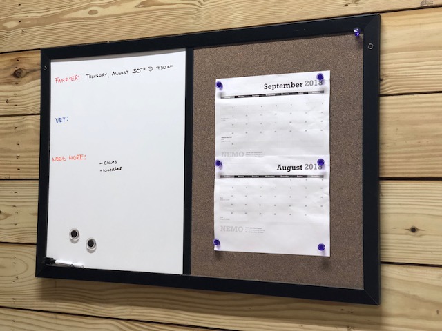 Equine expressions nemo s allergy update