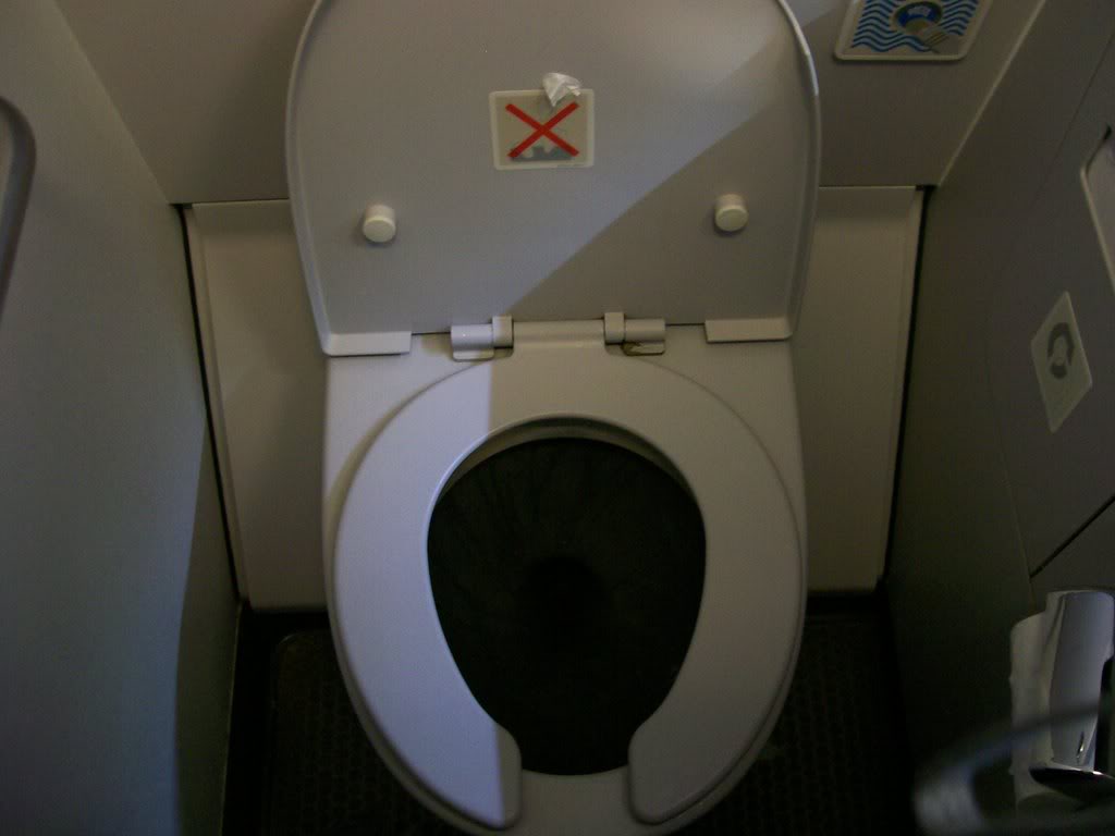 [the blues, the blahs and the blarghs] 1 Airplane Toilet