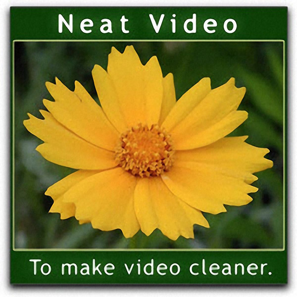 does neat video for after effects work in premiere pro does neat video for after effects work in premiere pro