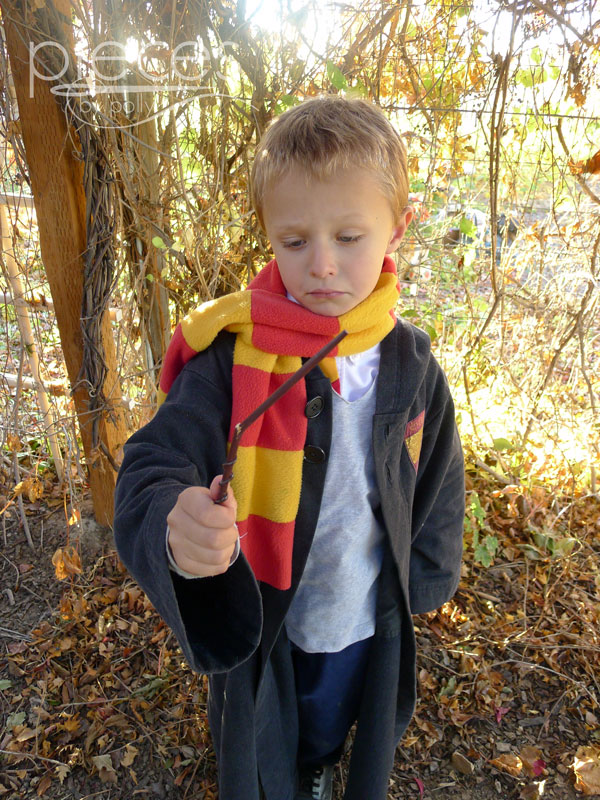 Pieces by Polly: Family Harry Potter Costumes - Snape, McGonagall ...