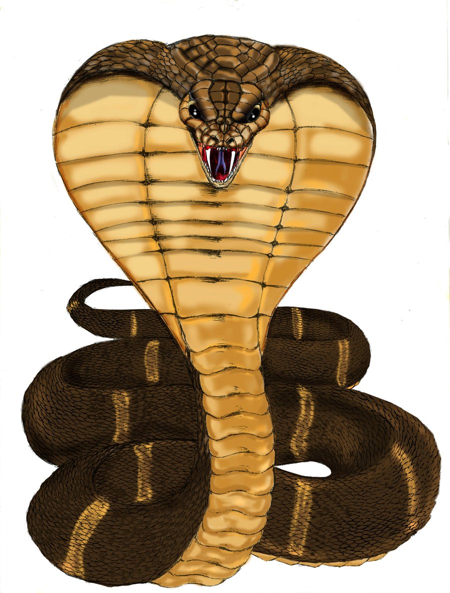 king cobra clipart - photo #44