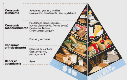 Dieta para un tenista
