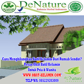 Obat Kutil Kelamin Obat Kutil Kelamin