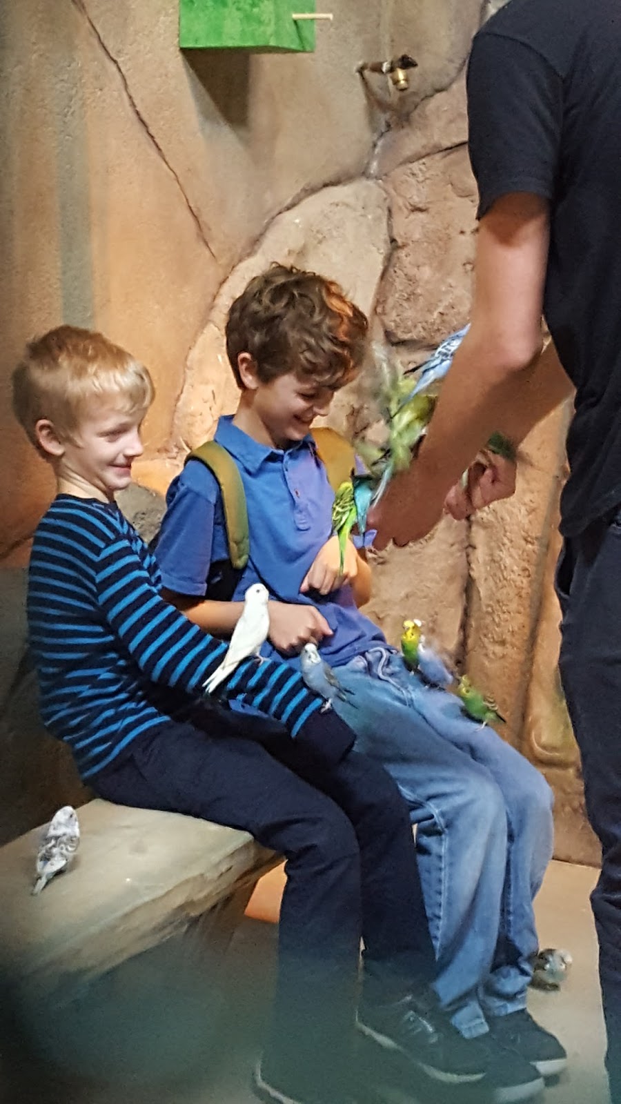 A Local Wander Get HandsOn at the Seaquest Interactive Aquarium