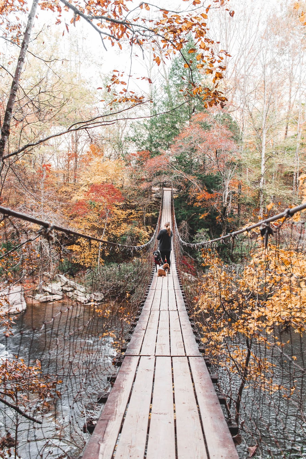 A Guide To Fall Creek Falls State Park 7 Things To Do