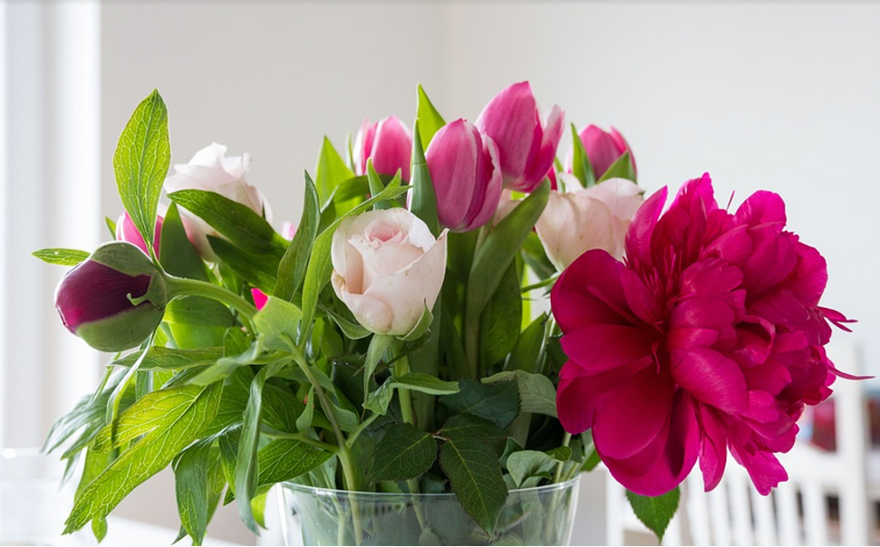 Flower Singapore Different Types of Flowers by Season