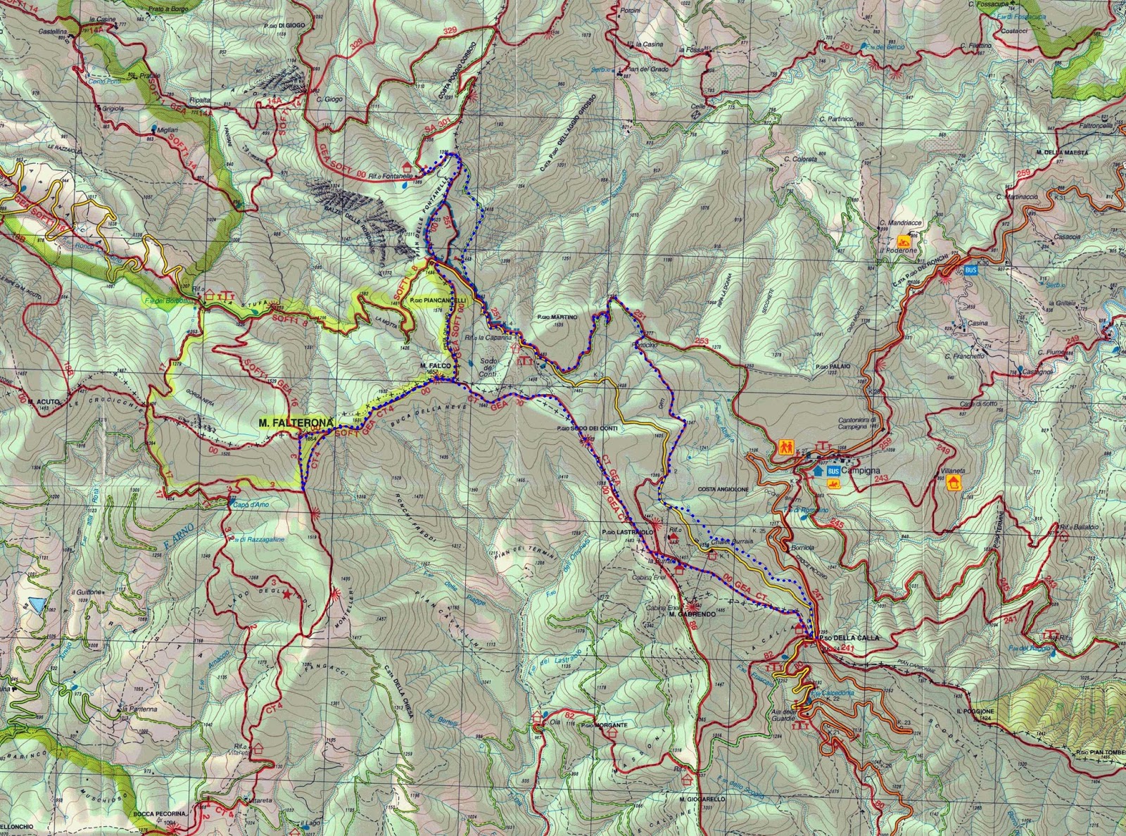 Trekking in Appennino Monte Falco e Falterona Trekking in Appennino Monte Falco e Falterona