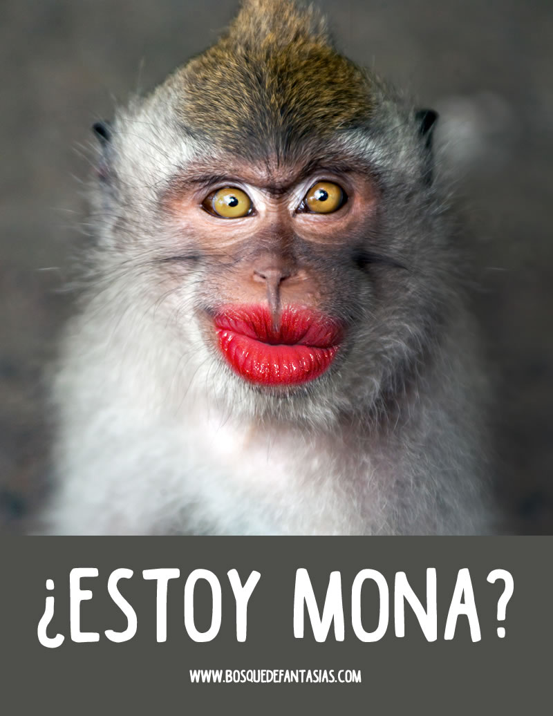 imágenes divertidas facebook