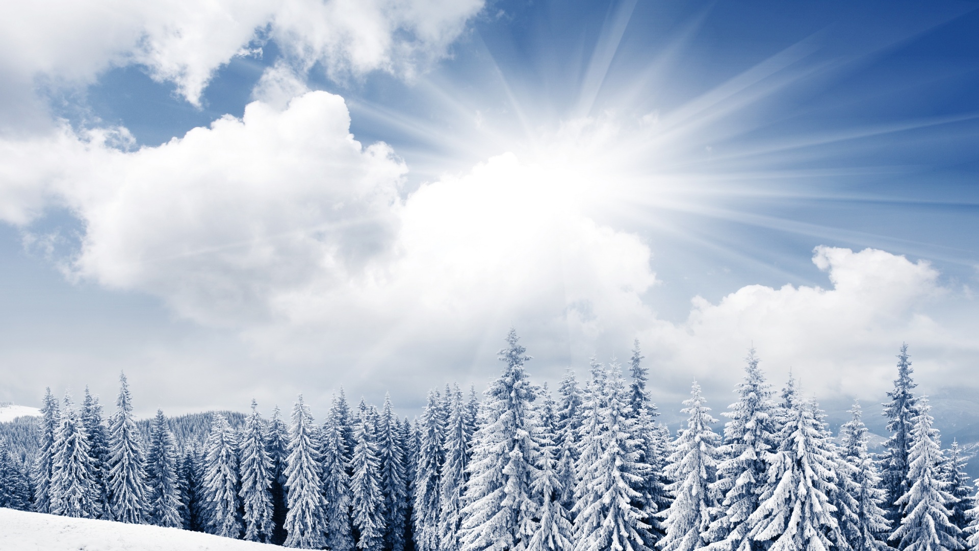 Bright Winter Day High Definition Wallpapers HD wallpapers Bright Winter Day High Definition Wallpapers HD wallpapers