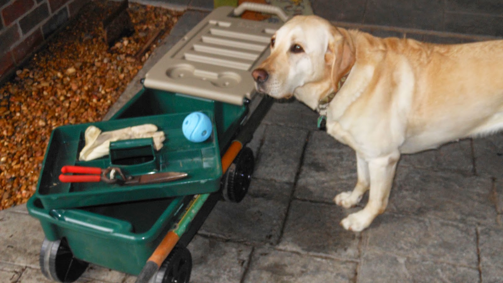 Garden Gadgets Deluxe Ames True Temper Lawn Buddy