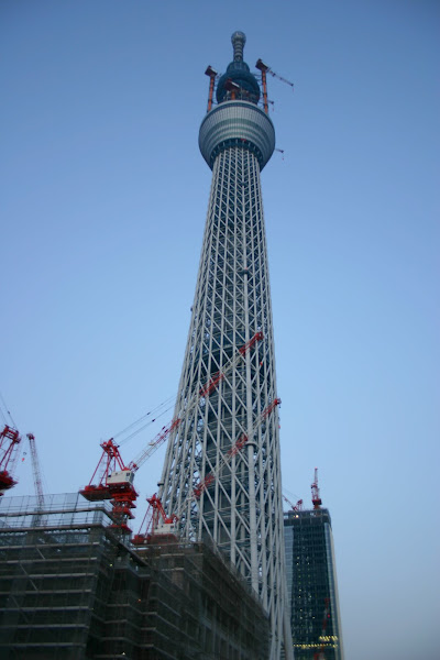 東武橋から見た建設中(574m)の東京スカイツリー