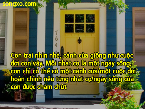 canh-cua-va-cuoc-doi-chinh-ban canh-cua-va-cuoc-doi-chinh-ban