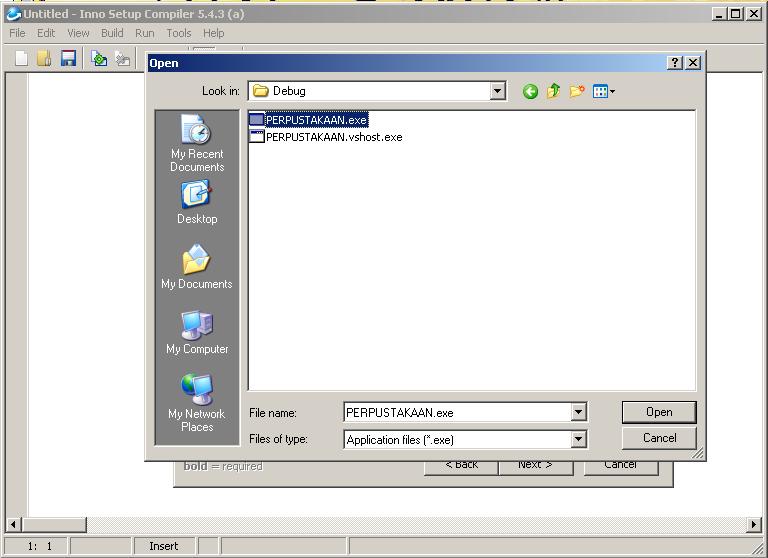 C run exe file. C run exe file