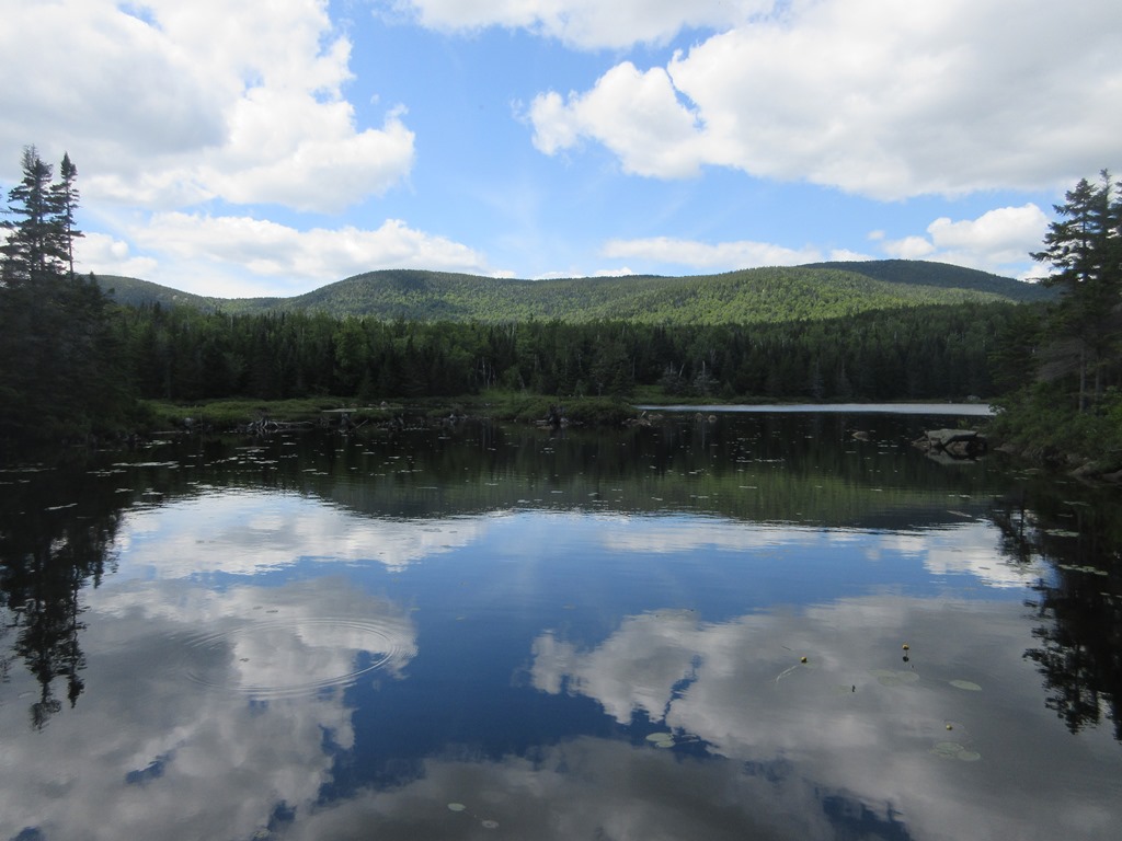 Mountain Wandering FLAT MOUNTAIN POND RAMBLE 7/26/17