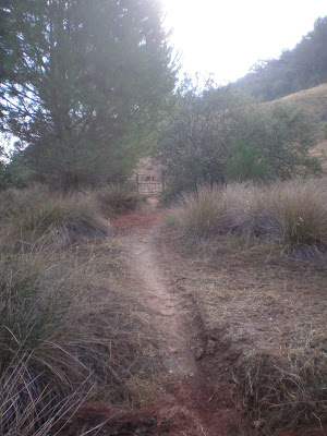 Ruta de Senderismo Cerro Muriano