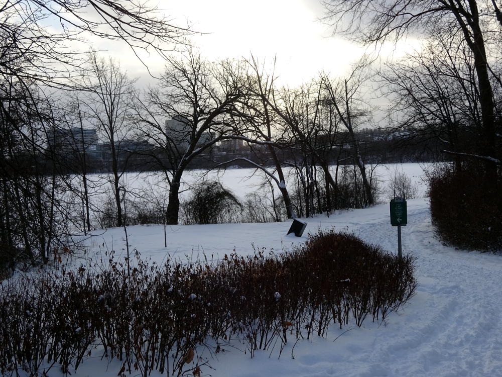 Michael's Scroll Crosscountry skiing at Lac Leamy / Le ski de fond au
