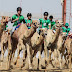 Camel Festival kicks off in Abu Dhabi