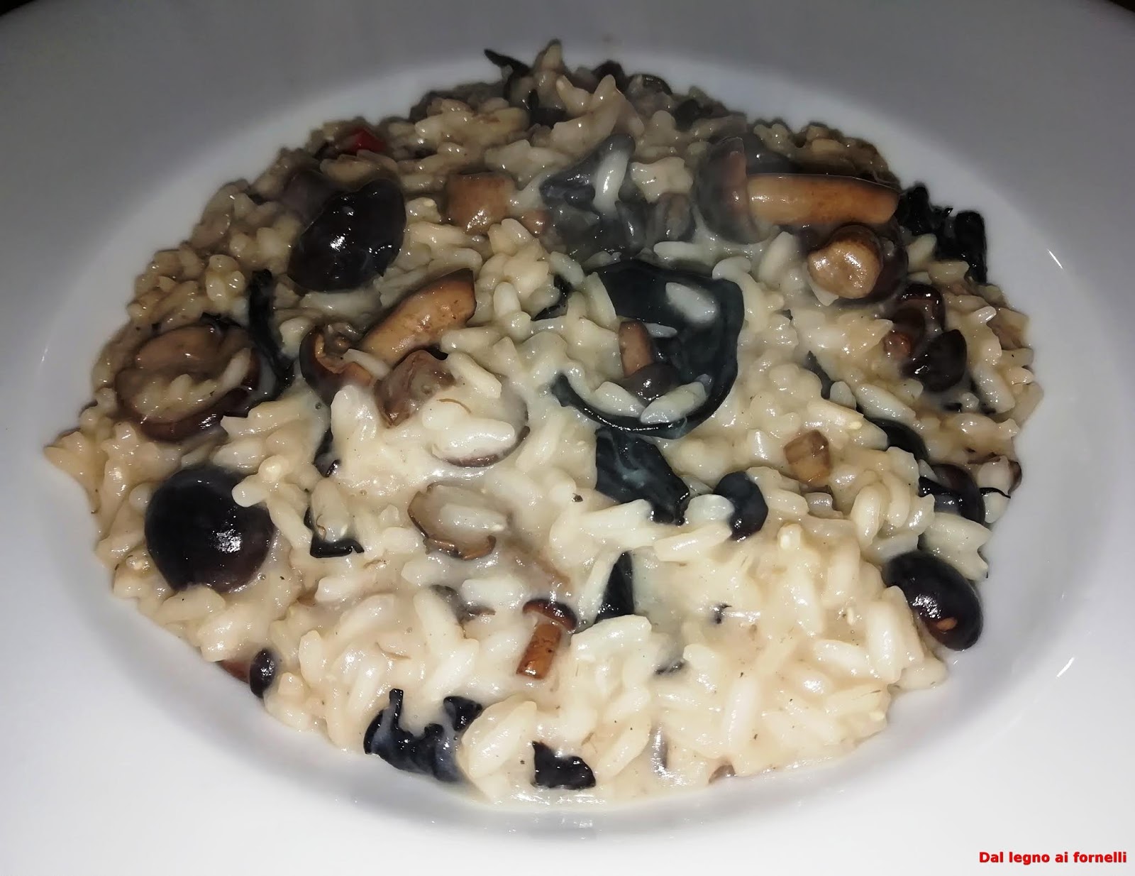 Risotto con funghi chiodini e trombette dei morti.