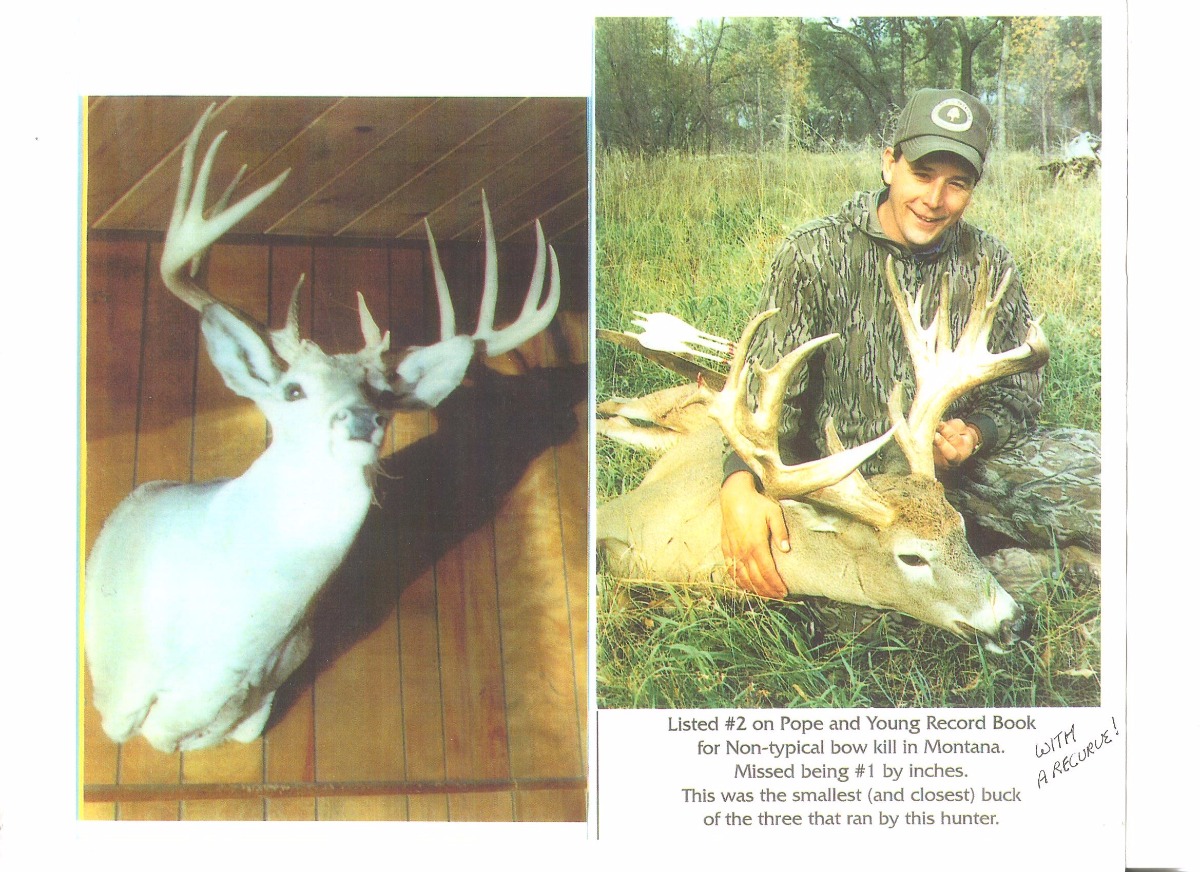 Northwest National Real Estate A Collection Of Real Estate Brokerages