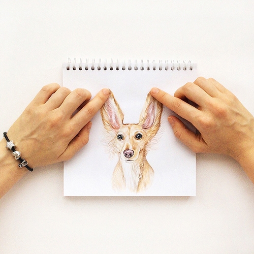 14-Listen-well-Valerie-Susik-Валерия-Суслопарова-Cats-and-Dogs-Interactive-Animal-Drawings-www-designstack-co