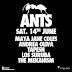 ANTS 14th June. Feat: Maya Jane Coles + Residents