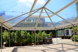 string lights tent foundry globe shaped june bulbs round saturday clear