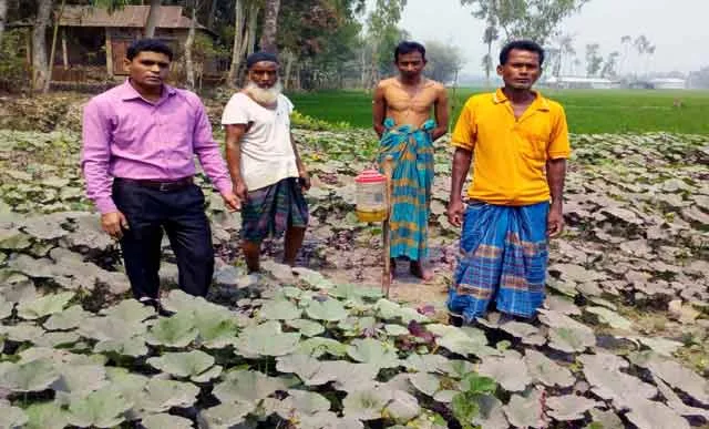 Kurigram peasants on the way to poverty in agriculture