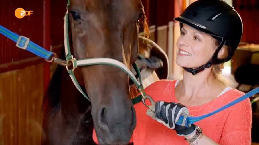 Der Traum Vom Siljansee